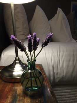 Lilies Luxury Retreats - Broome Tourism 51