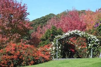 Terrigal Hinterland Bed And Breakfast - Broome Tourism 11