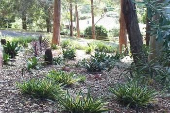 Terrigal Hinterland Bed And Breakfast - Broome Tourism 20