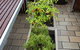 Eva's Backpackers - thumb 39