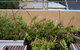 Eva's Backpackers - thumb 40