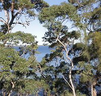 The Edgewater Bed amp Breakfast - Broome Tourism
