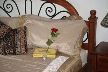 Kingfishers Manor @ Noosa - Broome Tourism 16