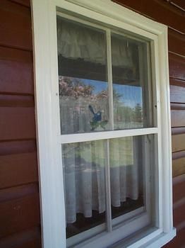 Aaron Cottage - Broome Tourism 1