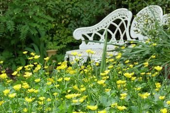 A Winter-rose Cottage B&B - Broome Tourism 4