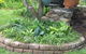A Winter-rose Cottage B&B - thumb 6