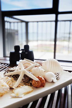 Langley Park Apartments - Broome Tourism 19