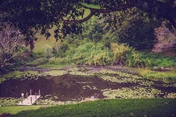 Allara Homestead - Broome Tourism 5