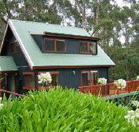 Tree Tops Cascades - Broome Tourism