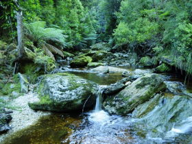 Tarkine Wilderness Experience At Corinna - Broome Tourism 0