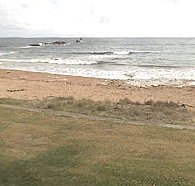 Penguin Caravan Park - Broome Tourism