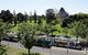 Seasons Botanic Gardens - thumb 0