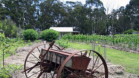 Pennyroyal Raspberry Farm & Cidery - Broome Tourism 2