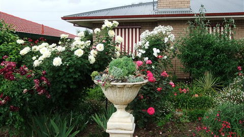 Admurraya House Bed And Breakfast - Broome Tourism 5