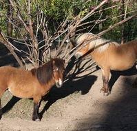 Cloud End Farmstay - Broome Tourism