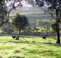 Bellevue Farmstay - Broome Tourism