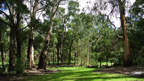 Wildwood Retreat - Broome Tourism 0