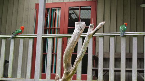 Wildwood Retreat - Broome Tourism 4