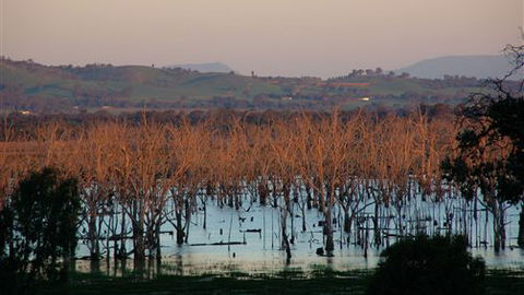 Salisbury - Broome Tourism 0