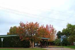 Allambie Motel Pty Ltd - Broome Tourism 0