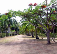 Alva Beach Tourist Park - Broome Tourism