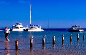 Blue Dolphin Caravan Park & Holiday Village - Broome Tourism 4