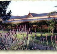 Bluebush Estate - Broome Tourism
