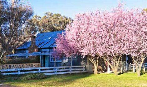 Bushlands Tourist Park - Broome Tourism 3