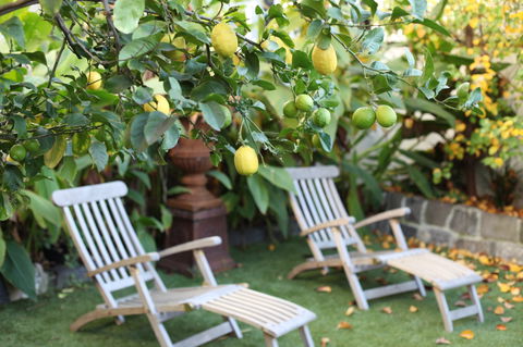 Captains Retreat B&B - Broome Tourism 1