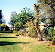 Condamine River Caravan Park - Broome Tourism