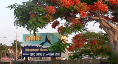 Pialba Motor Inn - Broome Tourism 8