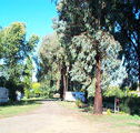 Cudal Caravan Park - Broome Tourism