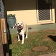 Neds Bed - Broome Tourism 7