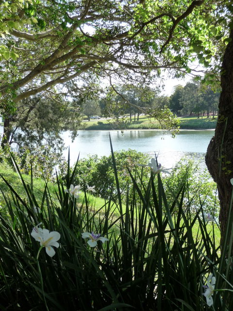 Netherby House - Broome Tourism 6