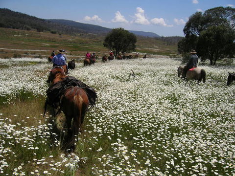 Reynella Kosciusko Rides Homestead - Broome Tourism 8