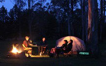 Aranyani Bison Adventure Tourist Park - Broome Tourism 2