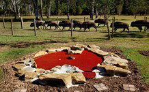 Aranyani Bison Adventure Tourist Park - Broome Tourism 5