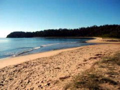 Seahorse Inn Hotel - Broome Tourism 4