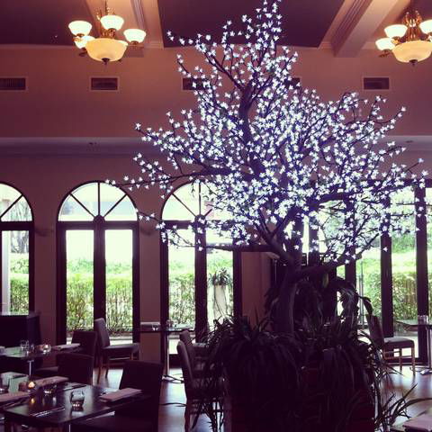 Shangri-La Gardens - Broome Tourism 1