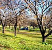 Wellington Caves Caravan Park - Broome Tourism