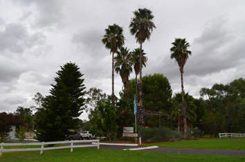 Westview Tourist Caravan Park - Broome Tourism 8