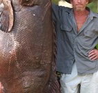 Michael's Clarence Valley Retreat - Broome Tourism