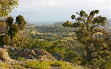 Widgee Murra - Broome Tourism 6