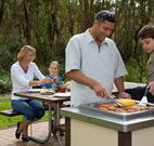 Port Stephens Treescape - Broome Tourism