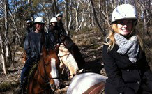 JE Resort (Jindabyne Equestrian Resort) - Broome Tourism 1
