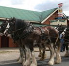 Araluen Valley Hotel - Araluen - Broome Tourism