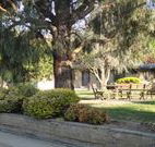 Hamilton Hume Motor Inn - Yass - Broome Tourism