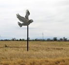 Gulargambone Hotel - Gulargambone - Broome Tourism