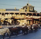 The Commercial Hotel Coonamble - Coonamble - Broome Tourism