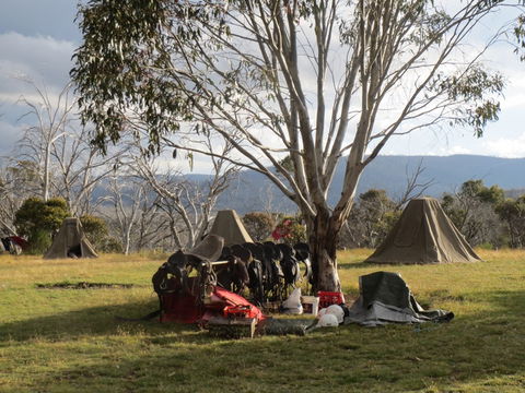 Reynella Homestead And Horseback Rides - Broome Tourism 1